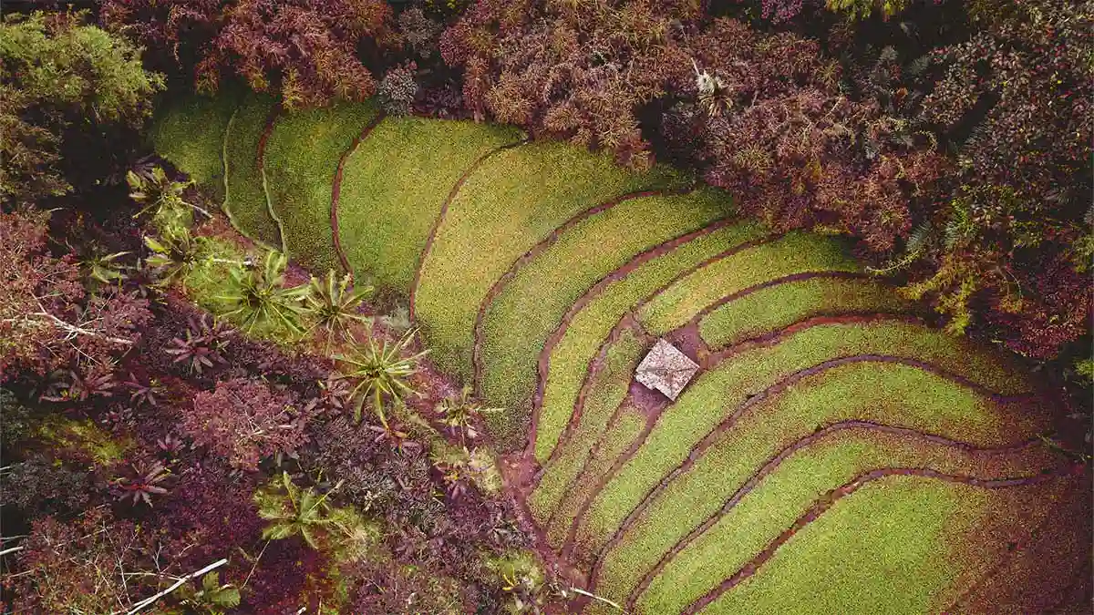Día Mundial del Medioambiente 5 de Junio